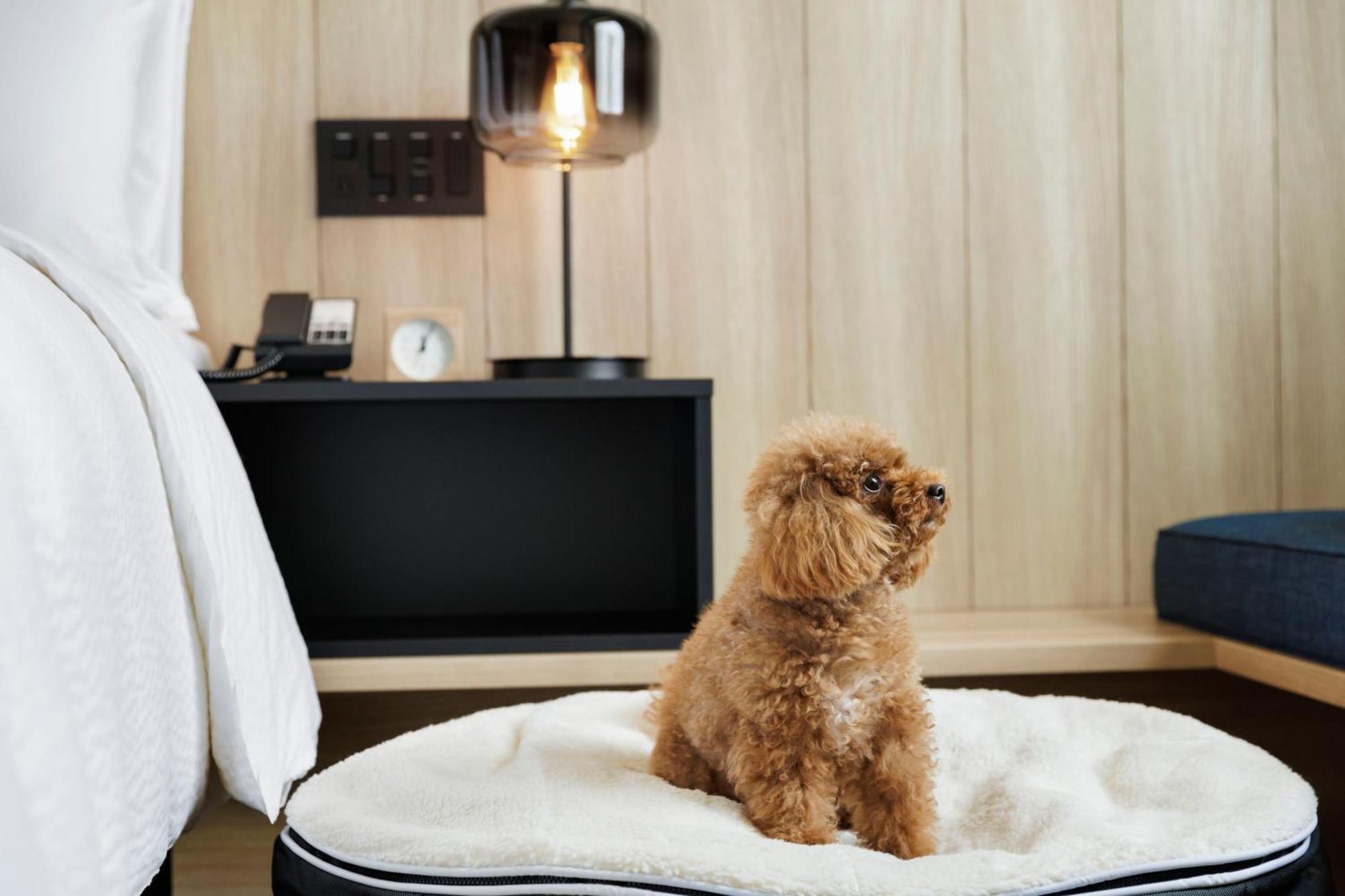Fairfield By Marriott Gifu Seiryu Satoyama Park Hotel Minokamo Bagian luar foto